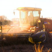 combine harvester