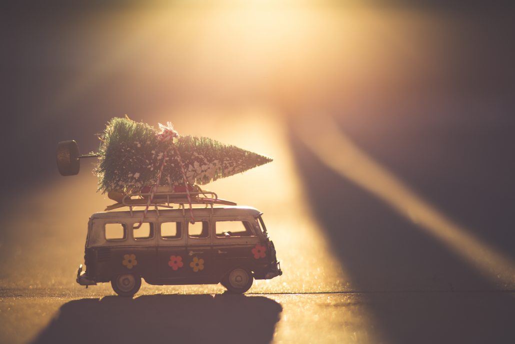 bus with tree on top