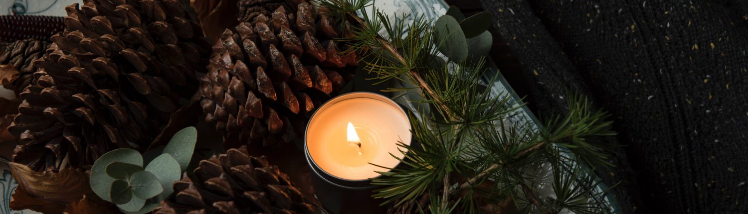 pinecones with candle