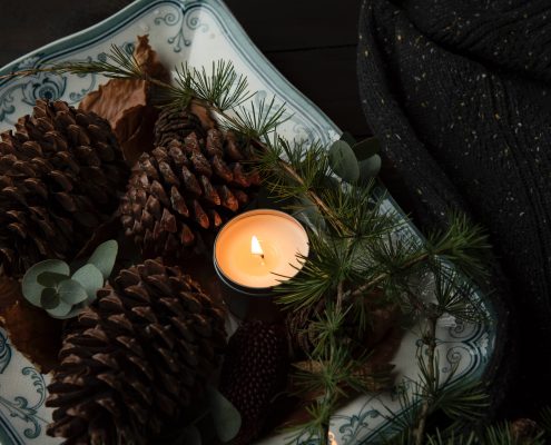 pinecones with candle