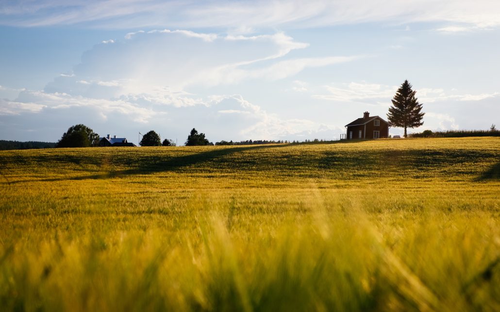 farmland bargain sale