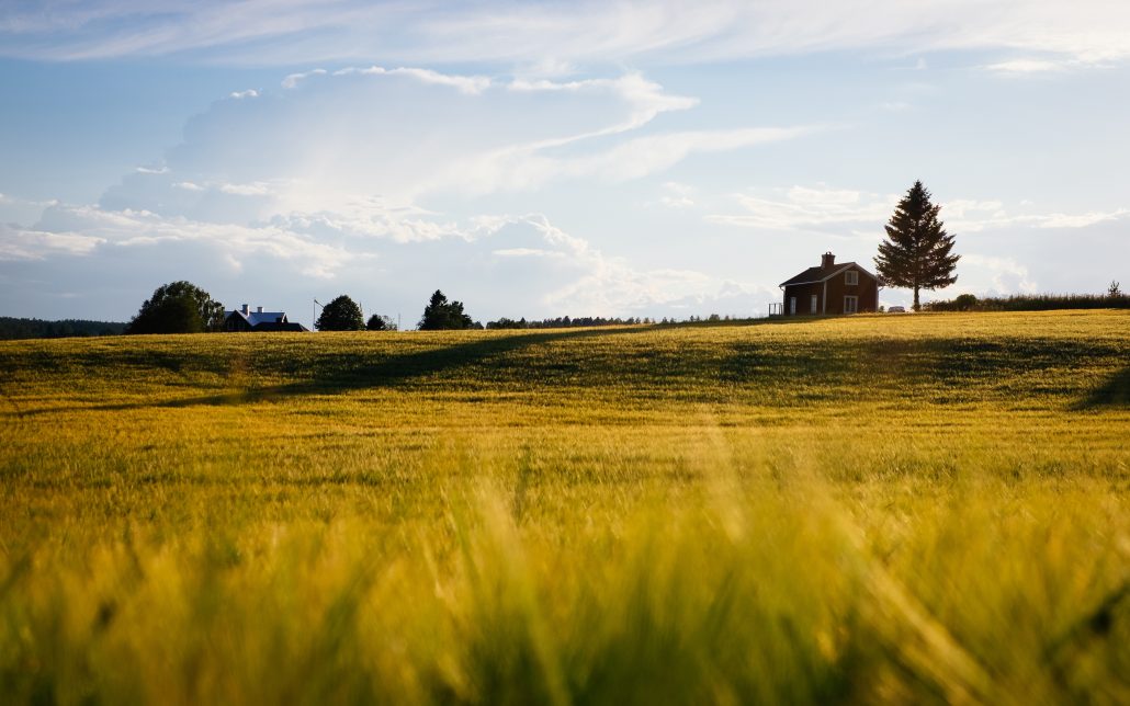 farmland bargain sale