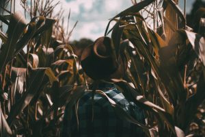 Farmer in field