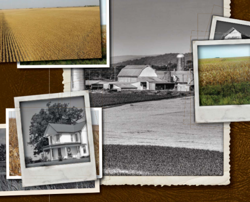 Your Farmland and the Future White Paper