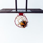 basketball court with ball in hoop