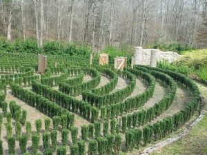 S-Town maze