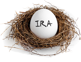 Ira egg in nest