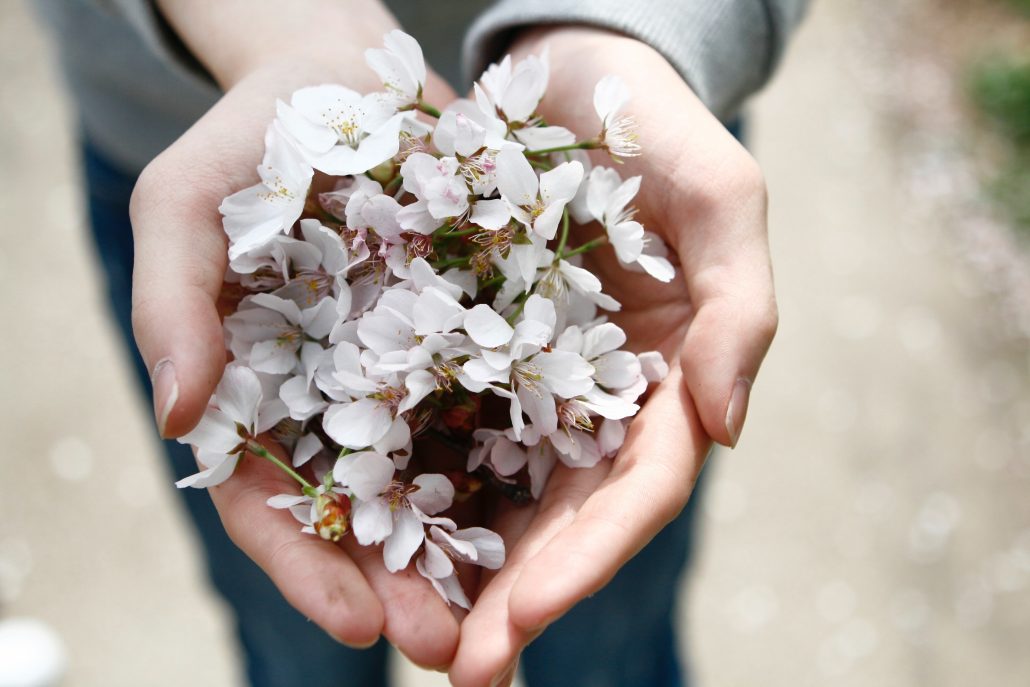 Giving flowers in open hands