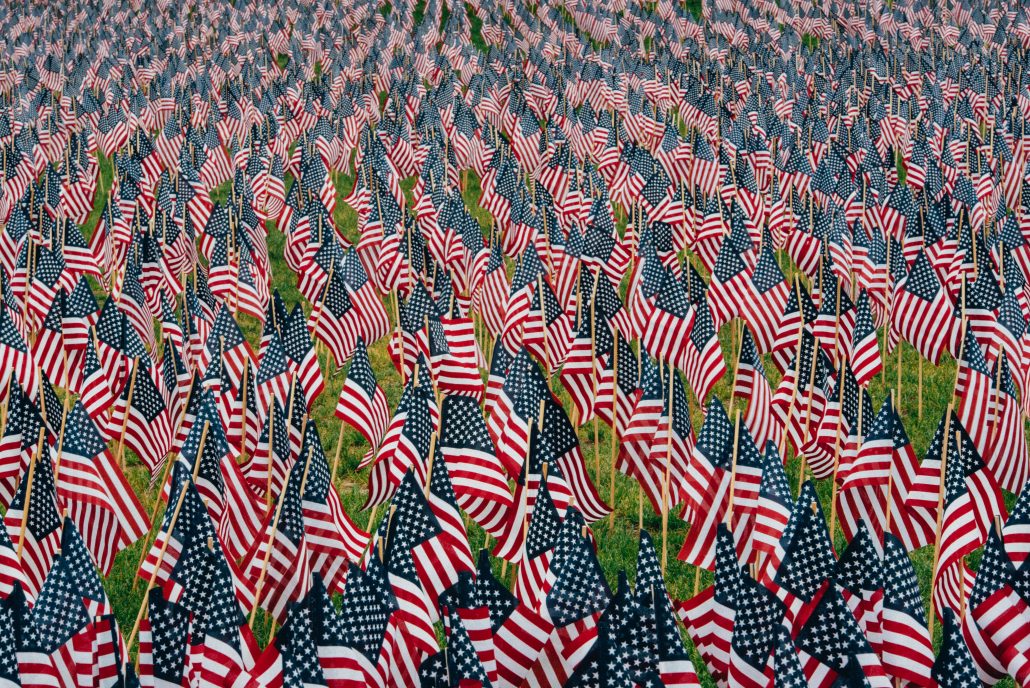 Veterans Day flags