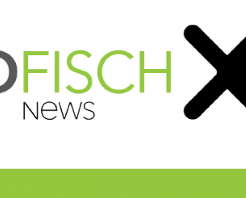 GoFisch January Newsletter