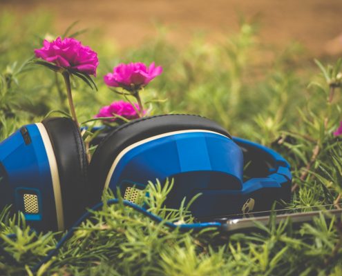 headphones and pink flowers