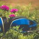 headphones and pink flowers