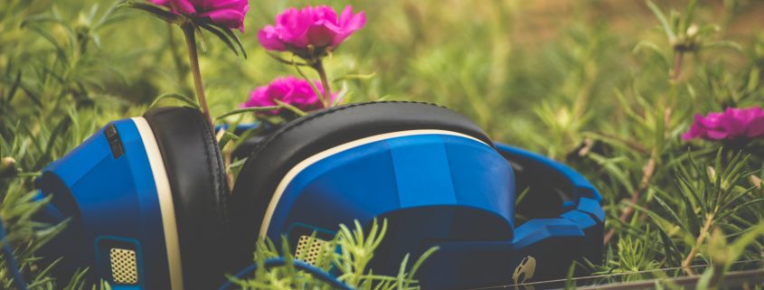 headphones and pink flowers