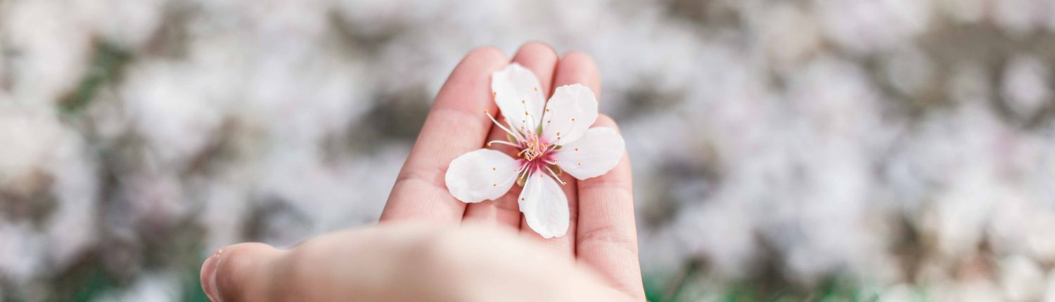 flowers in hand