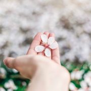 flowers in hand