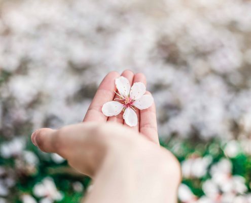 flowers in hand