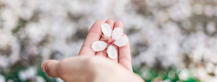 flowers in hand