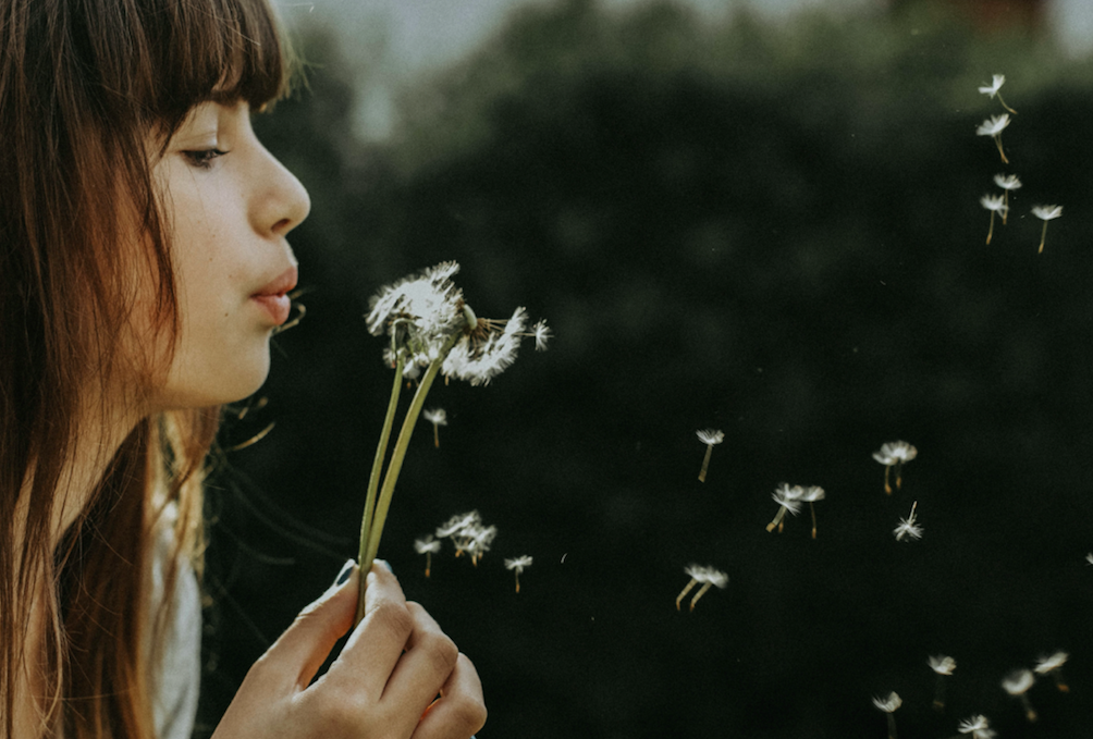 woman blowing on a dandelion