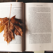 leaf on top of book