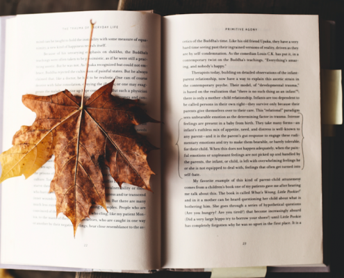 leaf on top of book