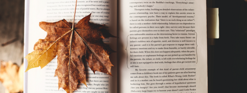 leaf on top of book