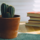 books with cactus