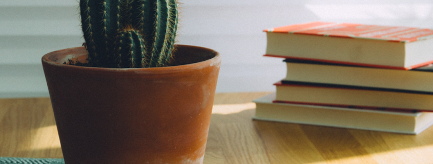 books with cactus